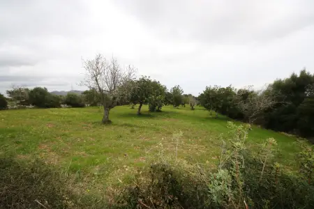 Venta Terrenos en San Lorenzo Mallorca