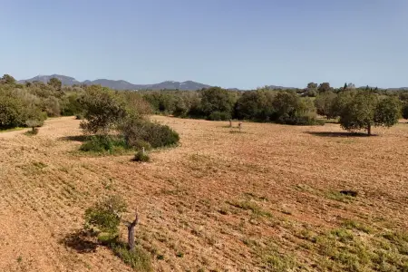 Venta Terrenos en Felanitx Mallorca
