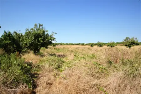 Venta Terrenos en Manacor Mallorca