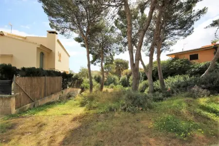 Venta Solar urbano en Porto Cristo Mallorca