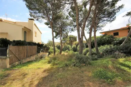 Venta Solar urbano en Porto Cristo Mallorca