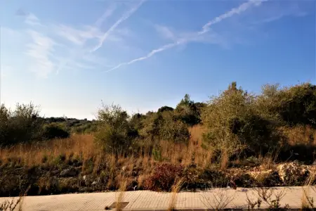 Venta Solar urbano en Manacor Mallorca