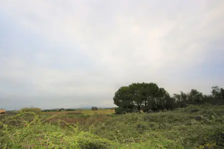 Venta Terrenos en Manacor Mallorca