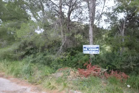 Venta Solar urbano en Colonia de Sant Pere Mallorca