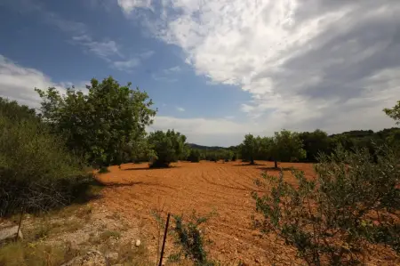 Venta Terrenos en Felanitx Mallorca