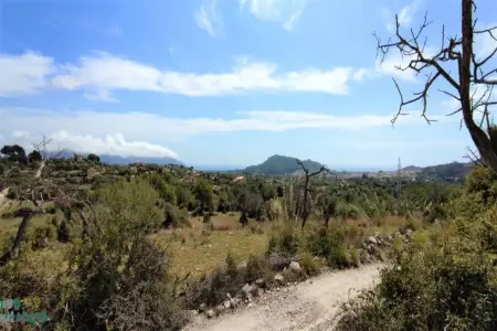 Venta Terrenos en Son Servera Mallorca