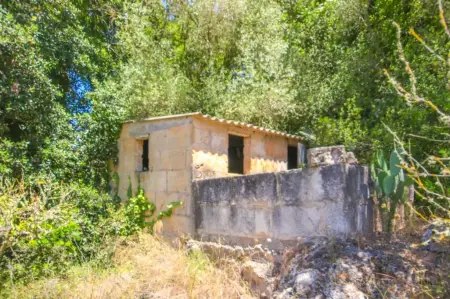 Fincas en Arta Riera Taylor