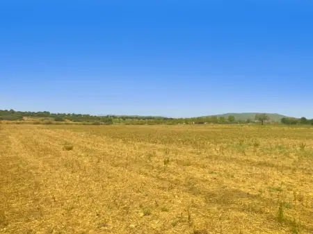 Venta Terrenos en Manacor Mallorca