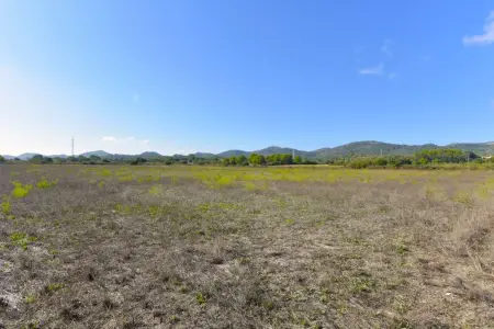 Venta Terrenos en Manacor Mallorca