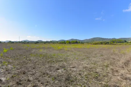 Venta Terrenos en Manacor Mallorca