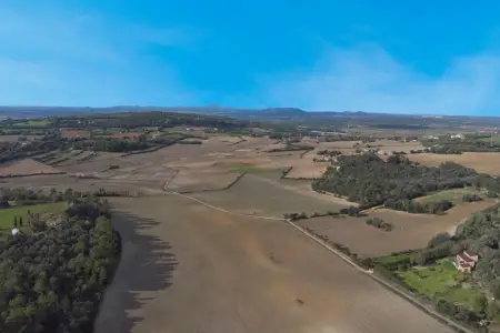 Venta Fincas en Manacor Mallorca