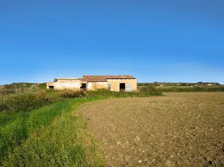 Fincas en Petra Riera Taylor