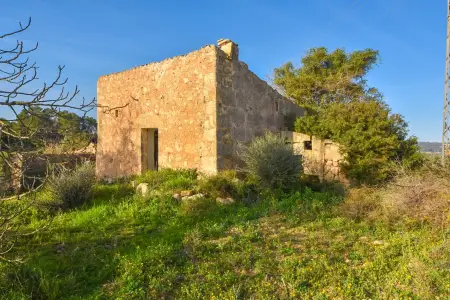 Venta Fincas en Manacor Mallorca