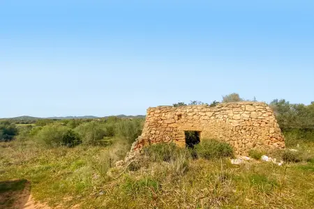 Venta Terrenos en Sillot Mallorca