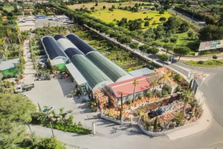 Venta Fincas en Son Servera Mallorca