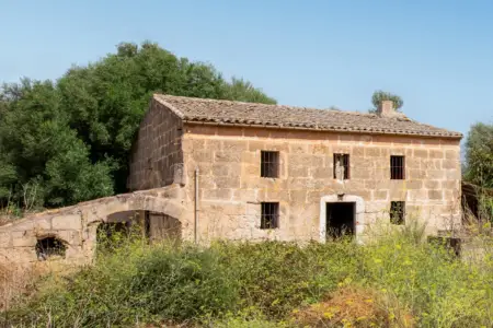 Venta Fincas en Manacor Mallorca