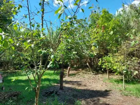 Terrenos en Capdepera Riera Taylor