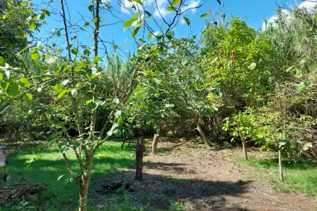 Venta Terrenos en Capdepera Mallorca