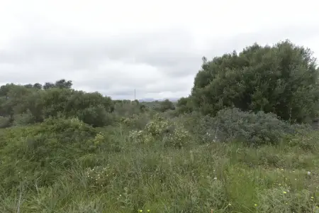 Venta Solar urbano en Calas de Mallorca Mallorca