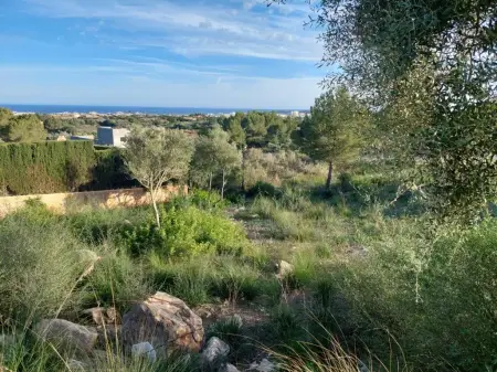 Solar urbano en Son Servera Riera Taylor