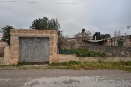 Venta Fincas en Manacor Mallorca