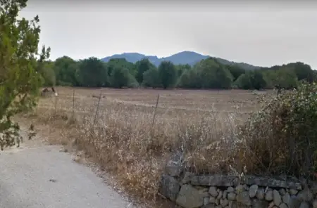 Venta Terrenos en Felanitx Mallorca