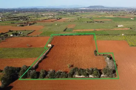 Venta Terrenos en Felanitx Mallorca