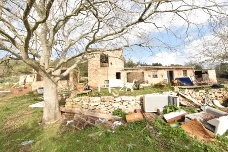 Venta Fincas en Arta Mallorca