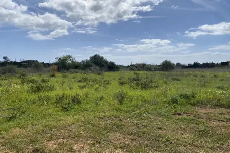 Venta Terrenos en Porto Cristo Mallorca