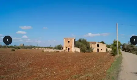 Fincas en Campos Riera Taylor