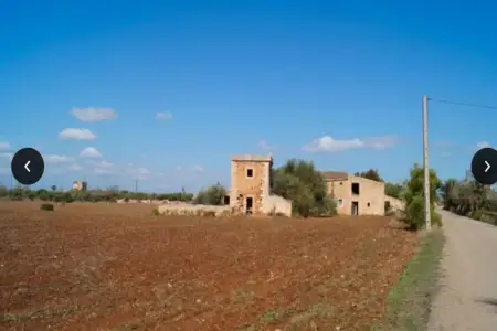 Venta Fincas en Campos Mallorca