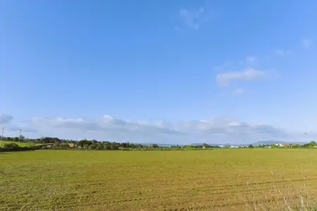 Venta Terrenos en Manacor Mallorca