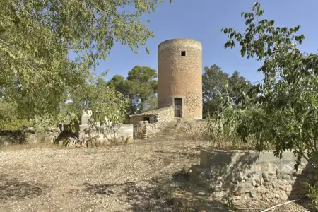 Venta Fincas en Manacor Mallorca
