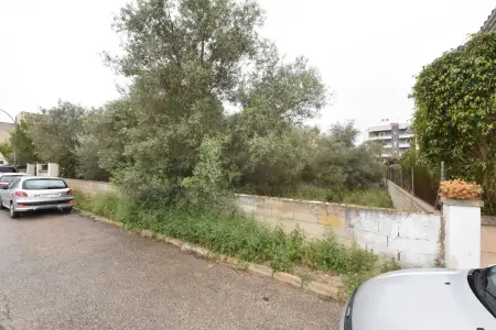 Venta Solar urbano en Manacor Mallorca