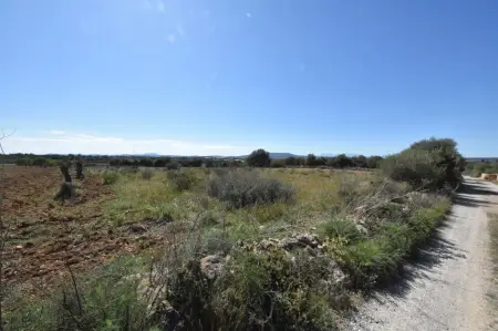 Terrenos en Manacor Riera Taylor