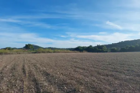 Venta Terrenos en Son Servera Mallorca