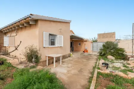 Fincas en Manacor Riera Taylor