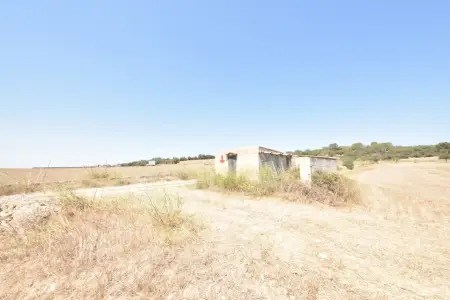 Venta Terrenos en Manacor Mallorca