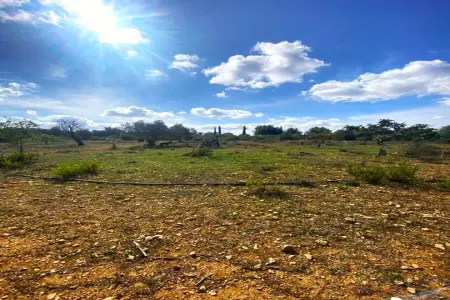Venta Terrenos en Vilafranca de Bonany Mallorca