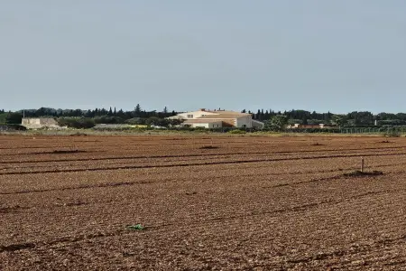 Venta Terrenos en Llubi Mallorca