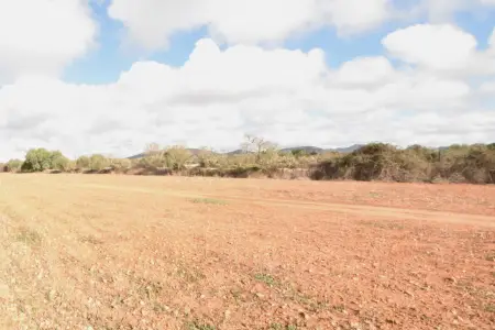 Venta Fincas en Santanyi Mallorca