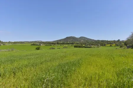 Venta Terrenos en Manacor Mallorca