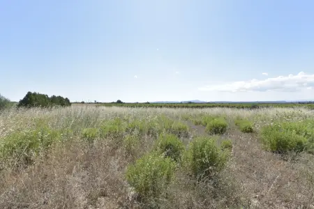 Venta Terrenos en Felanitx Mallorca