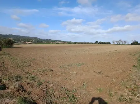 Terrenos en Vilafranca de Bonany Riera Taylor