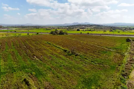 Venta Terrenos en Vilafranca de Bonany Mallorca