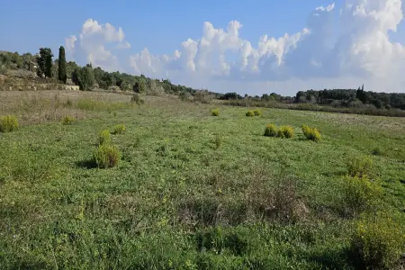 Venta Terrenos en Petra Mallorca