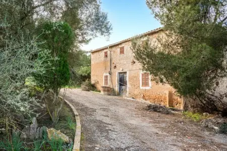 Venta Fincas en Manacor Mallorca