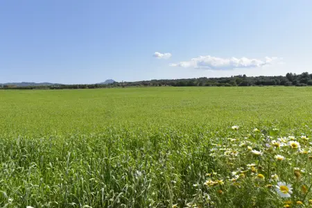 Venta Terrenos en Manacor Mallorca