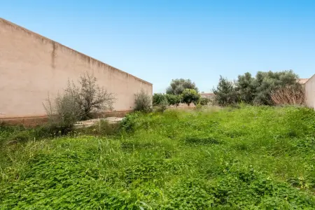 Venta Solar urbano en San Lorenzo Mallorca