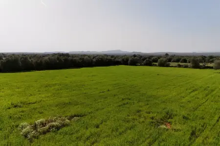 Venta Terrenos en Felanitx Mallorca